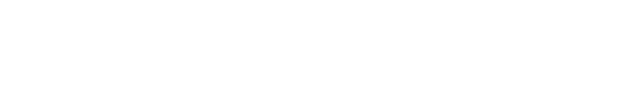 logowebwhite